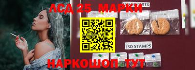 ALPHA PVP Гатчина
